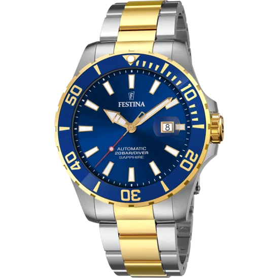 Montre Homme Festina Automatic F20532/1
